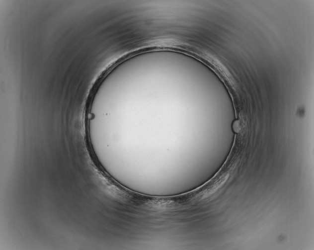X0000100960939200807081238
