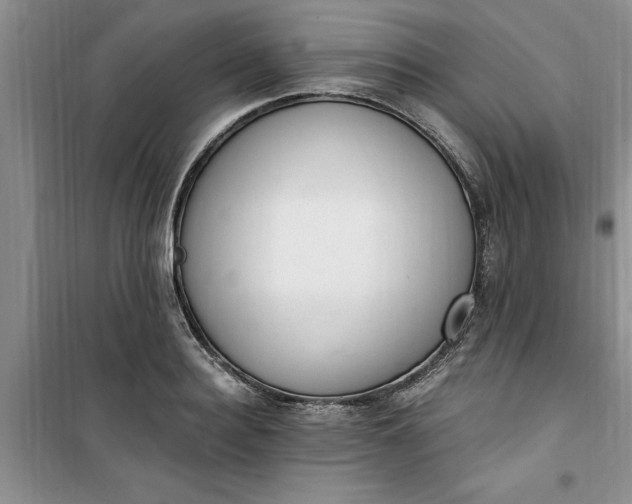 X0000100960940200807081238