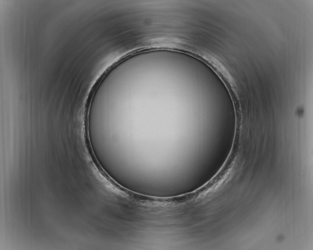 X0000100960941200807081238