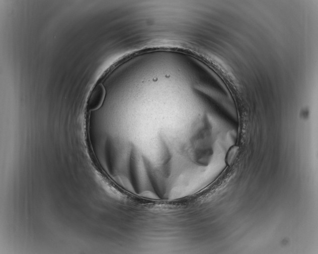 X0000100960942200807081238