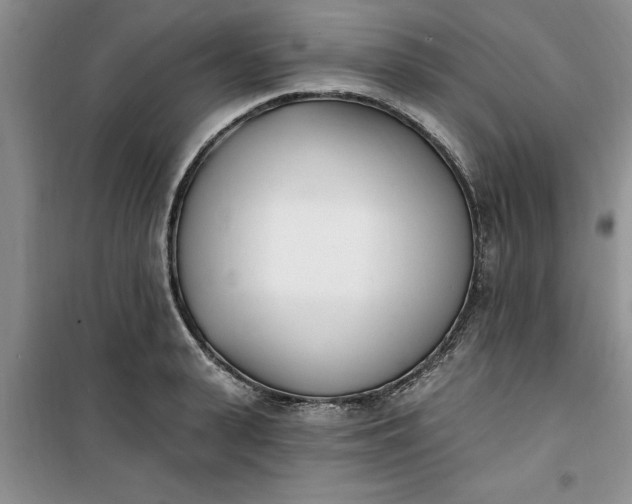 X0000100960943200807081238