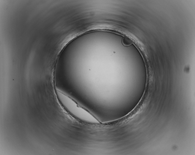 X0000100960945200807081238