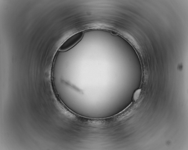 X0000100960946200807081238