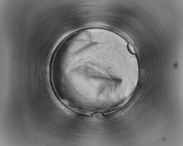 X0000100960947200807081238