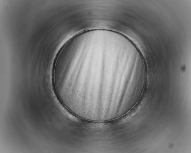 X0000100960949200807081238