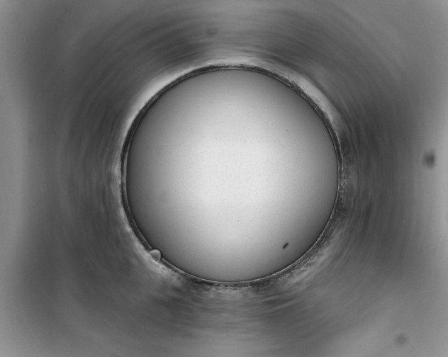 X0000100960951200807081239