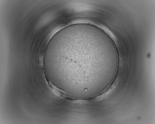 X0000100960953200807081239