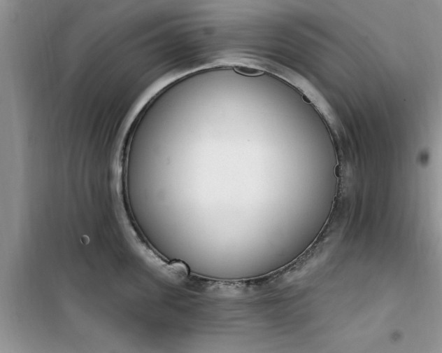 X0000100960955200807081239