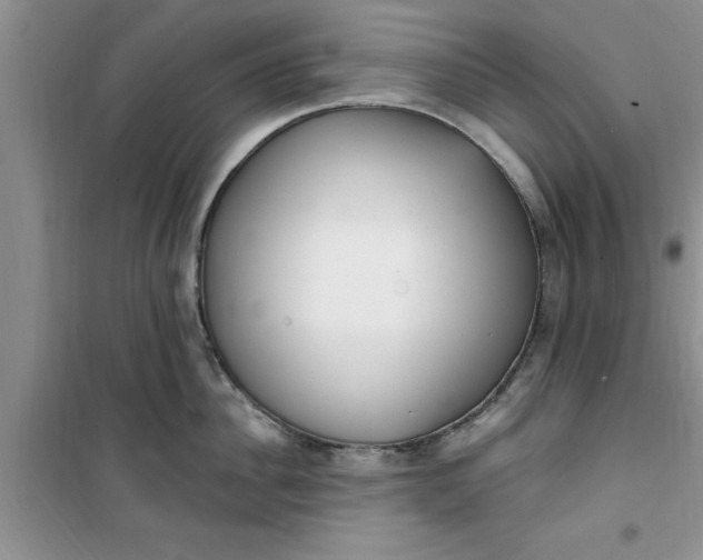 X0000100960956200807081239