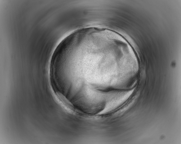 X0000100960957200807081239