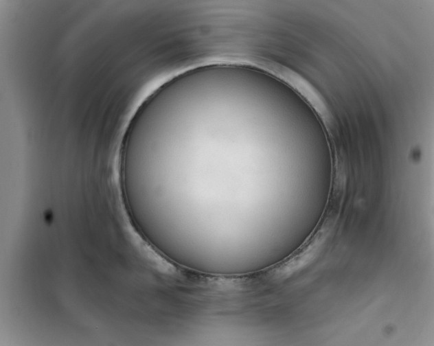 X0000100960958200807081239