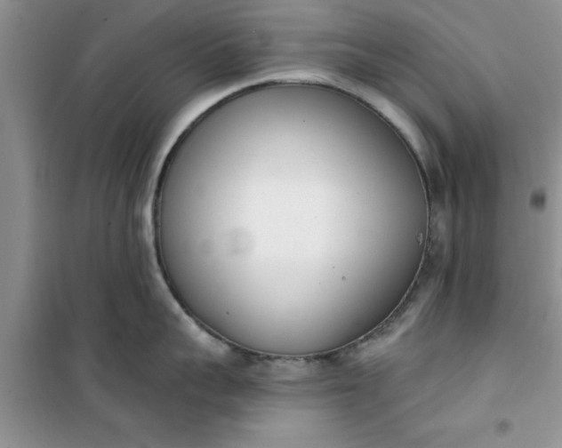 X0000100960959200807081239