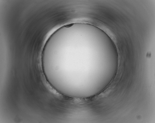 X0000100960960200807081239