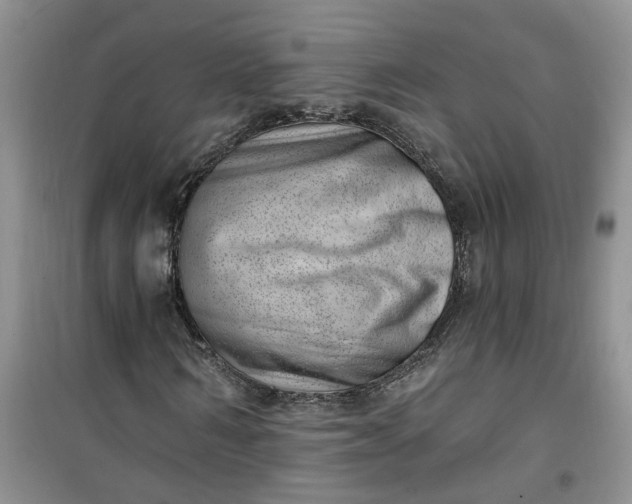 X0000100960962200807081238