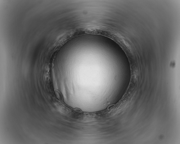 X0000100960964200807081238