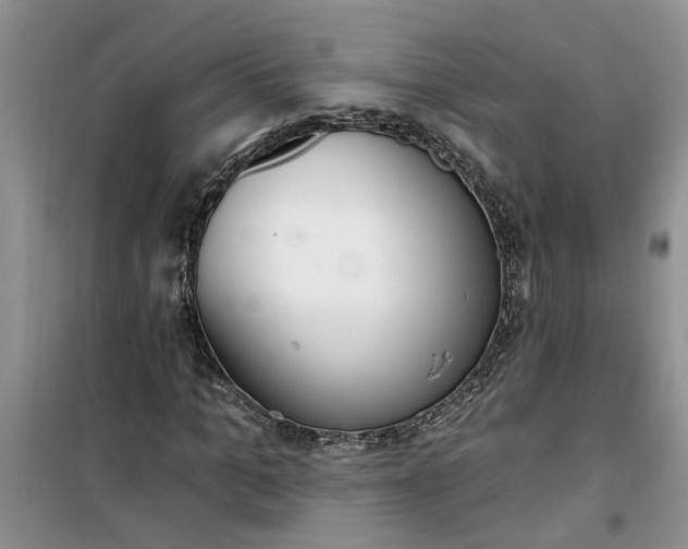 X0000100960965200807081238