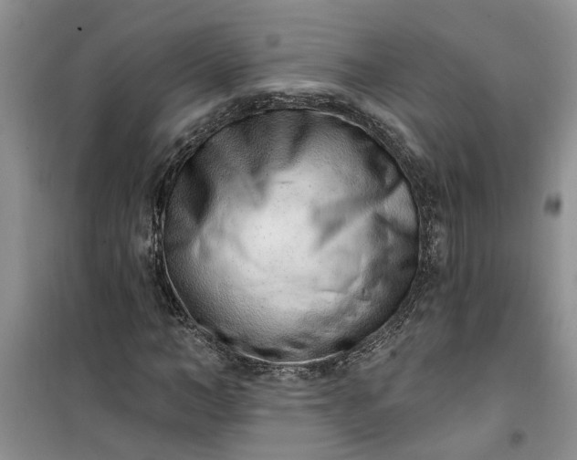 X0000100960966200807081238