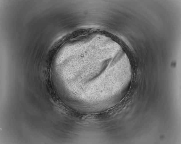 X0000100960967200807081238
