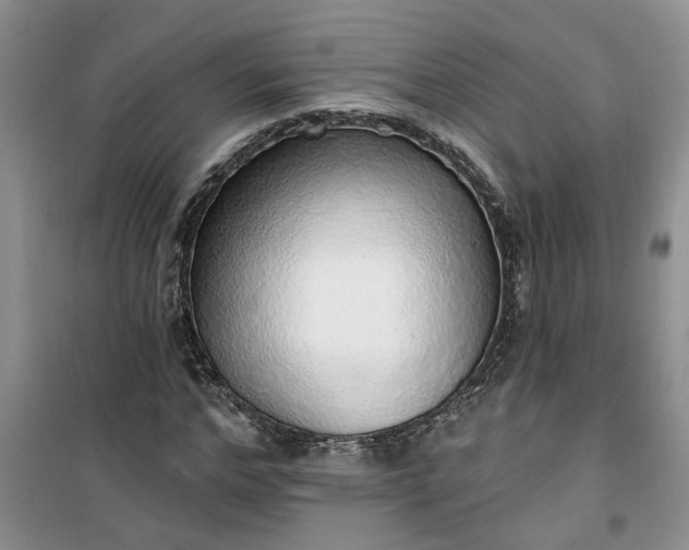 X0000100960968200807081238
