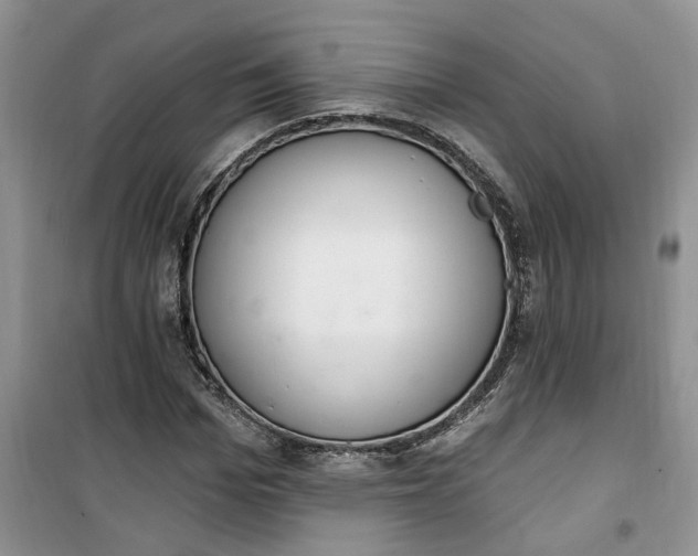 X0000100960969200807081238
