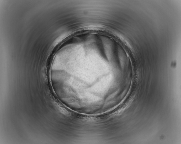 X0000100960970200807081238