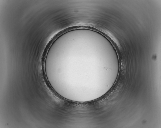 X0000100960972200807081238