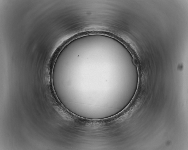 X0000100960973200807081238