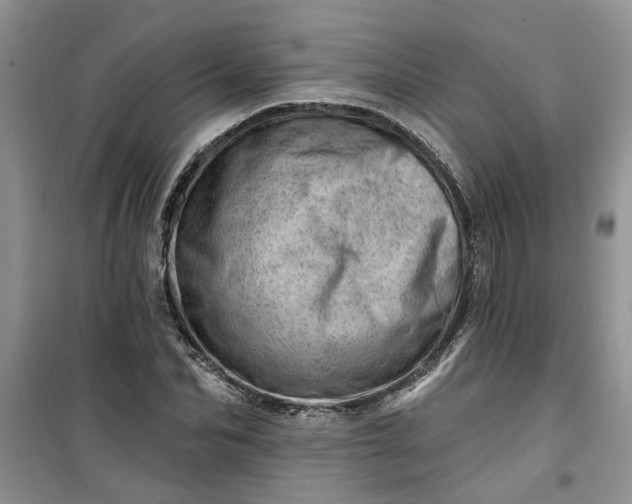 X0000100960974200807081238