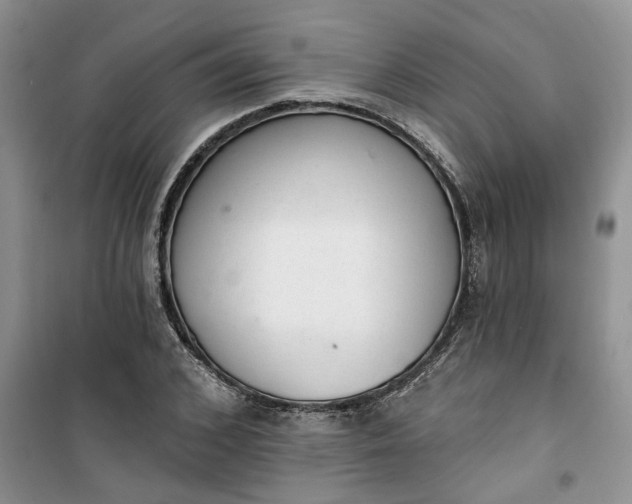 X0000100960976200807081238