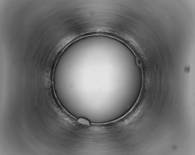 X0000100960977200807081238