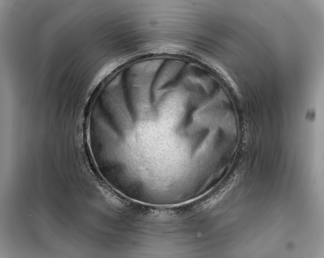 X0000100960978200807081238