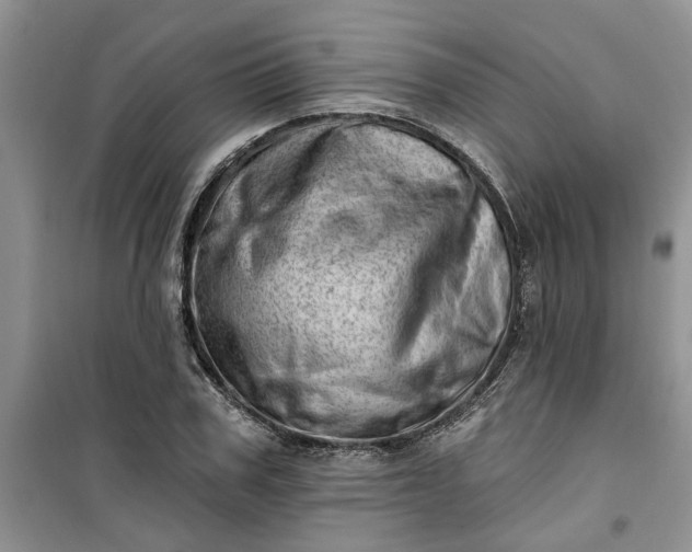 X0000100960979200807081238