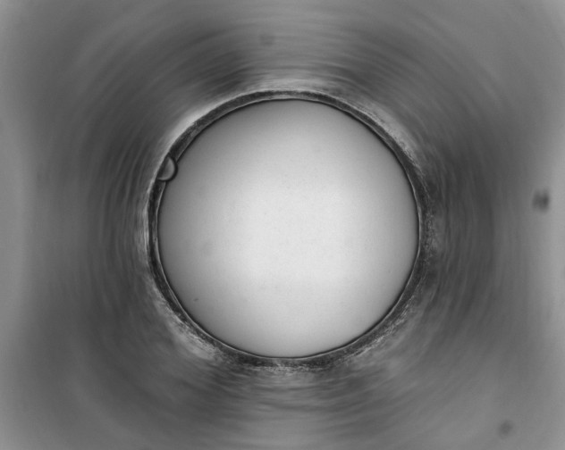 X0000100960980200807081238