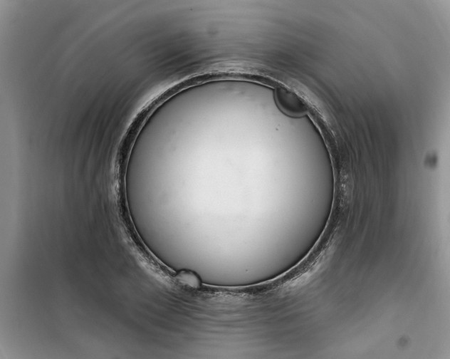 X0000100960981200807081238