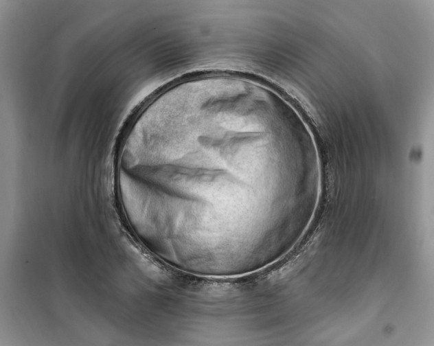 X0000100960982200807081238