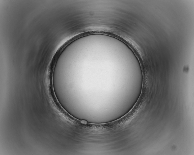 X0000100960983200807081238
