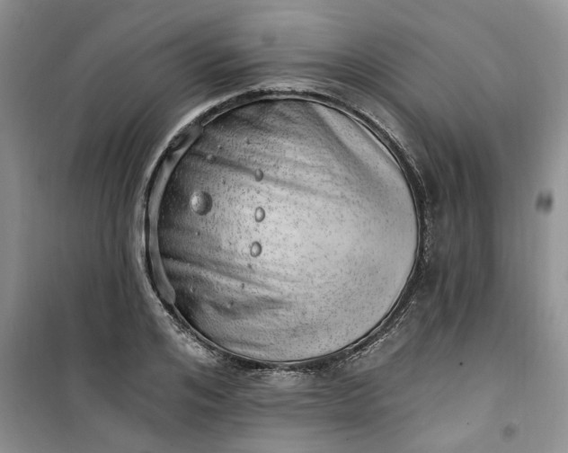 X0000100960984200807081238