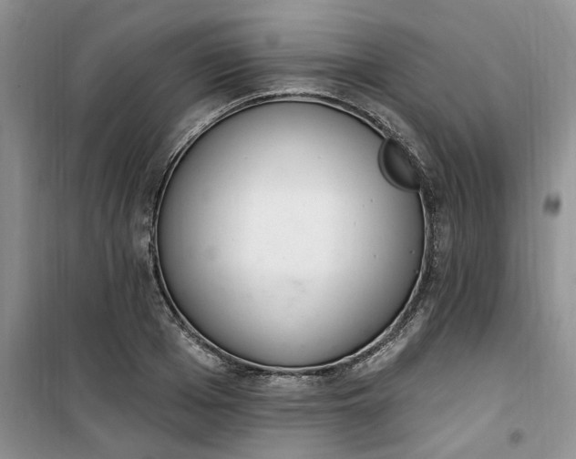 X0000100960985200807081238