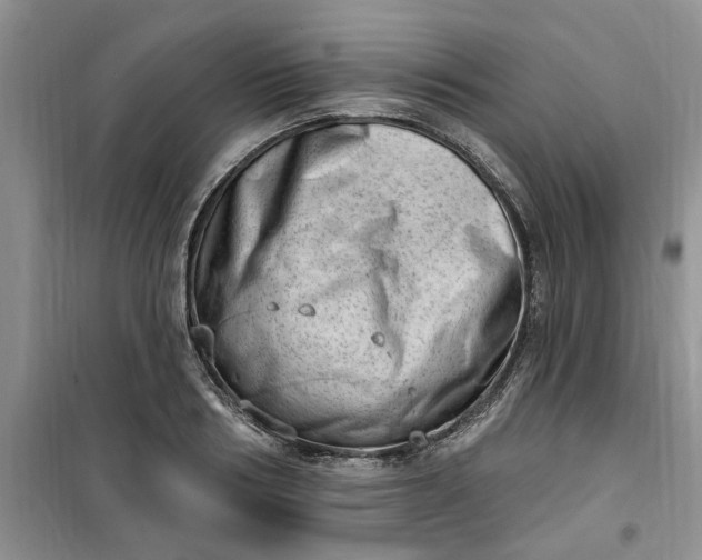 X0000100960986200807081238