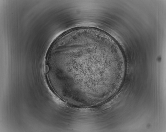 X0000100960988200807081237
