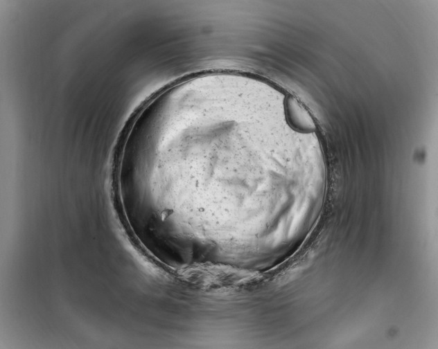X0000100960991200807081237