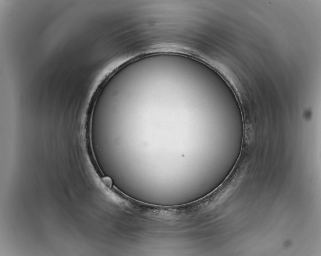 X0000100960995200807081237