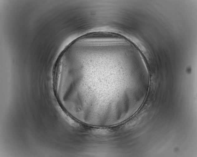 X0000100960998200807081237