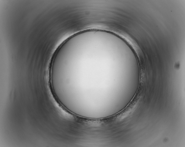 X0000100960999200807081237