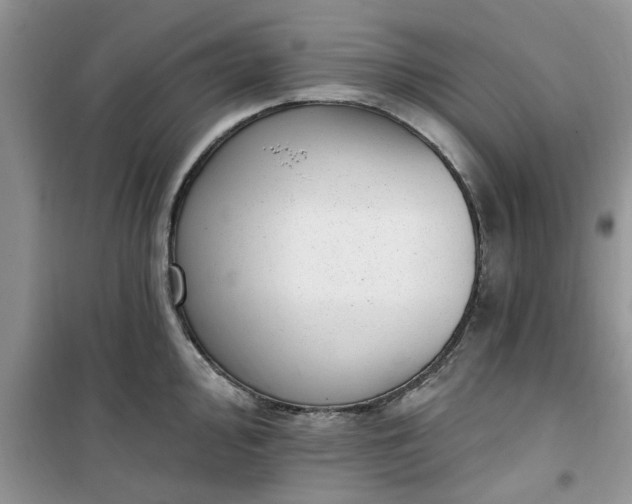 X0000100961000200807081237