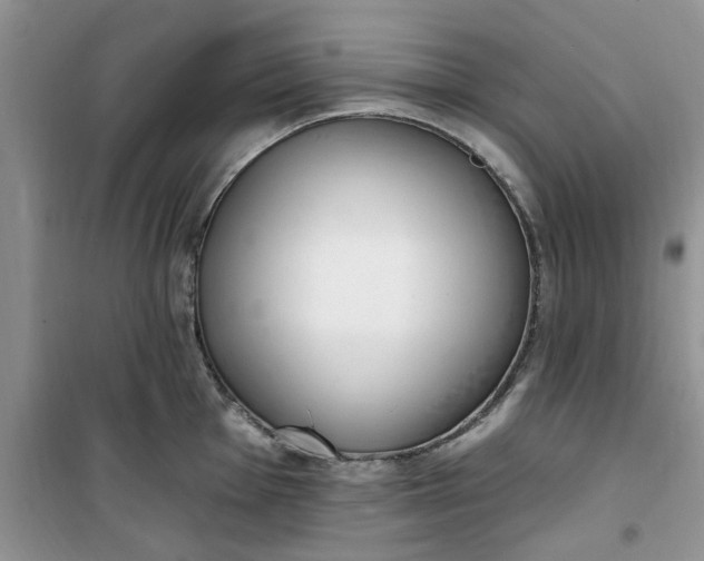X0000100961001200807081237