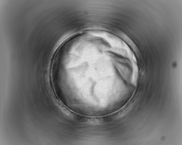 X0000100961002200807081237