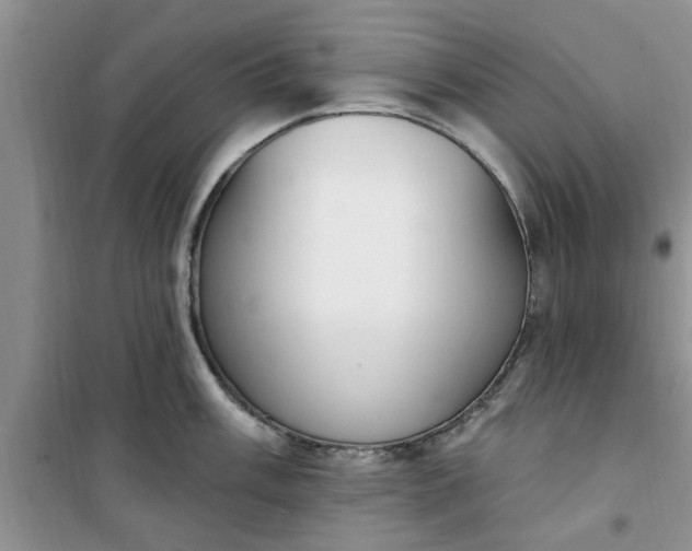 X0000100961003200807081237