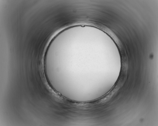 X0000100961004200807081237