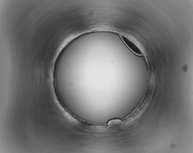 X0000100961005200807081237
